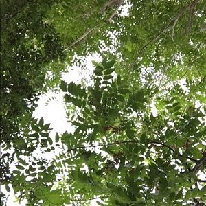 Meet your Posher, Mia